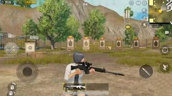 《绝地求生玩具奇兵辅助：揭秘游戏辅助市场的潜规则与应对策略》