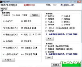 《CF易美全能辅助：揭秘游戏辅助工具的全新变革，你准备好了吗？》