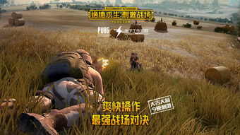 《绝地求生单板透视卡盟：揭秘作弊利器背后的行业真相与风险》