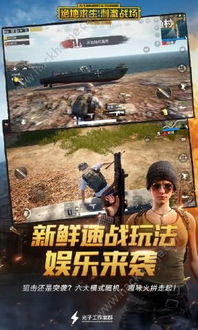 《揭秘手游绝地求生辅助器iOS：真相与风险并存，你准备好了吗？》