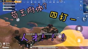 《和平精英旋风辅助：揭秘游戏平衡利器，助力玩家乘风破浪！》