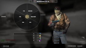 《CSGO 5E平台辅助工具：揭秘其利弊，揭秘玩家如何正确使用》