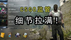 揭秘CSGO辅助黑号：如何辨别与防范？