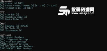 CSGO多功能辅助工具的崛起：揭秘游戏内外的新趋势