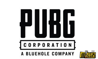 【独家解析】pubg卡盟最新动态：揭秘市场走势，玩家必看！