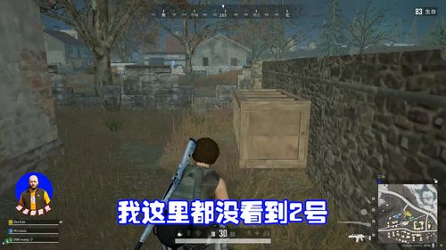 揭秘绝地求生隐身透明辅助：揭秘游戏作弊黑科技，揭秘真相！