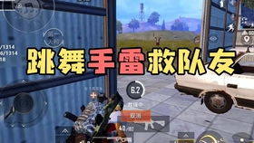 吃鸡无情辅助：揭秘游戏内外的新兴挑战，如何应对？