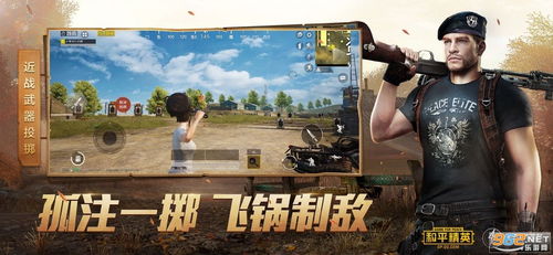 和平精英战天辅助：揭秘游戏内外的高效策略，助你轻松吃鸡！